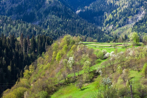 Prachtig uitzicht op het bergdorp in Boven-Svaneti. Georgië