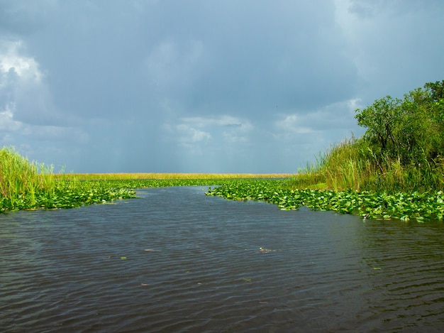 Prachtig uitzicht op het Everglades-moeras in de zomer