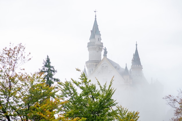 Prachtig uitzicht op het kasteel van neuschwanstein, Duitsland