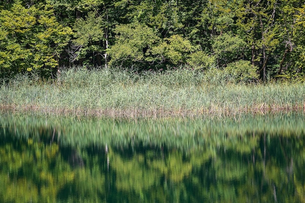 Prachtig uitzicht op het Nationaal Park Plitvicemeren Kroatië