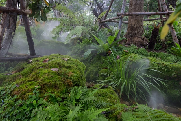 Prachtig uitzicht op het natuurlijke landschap in de huistuin