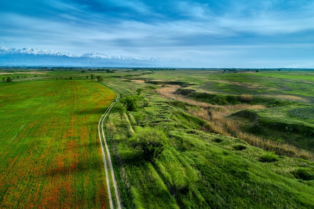 Prachtig uitzicht op het papaverveld en de luchtfotografie op de weg