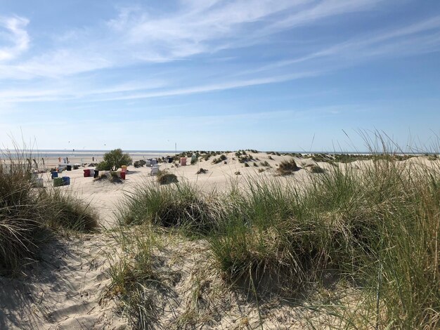 Foto prachtig uitzicht op het strand tegen de hemel