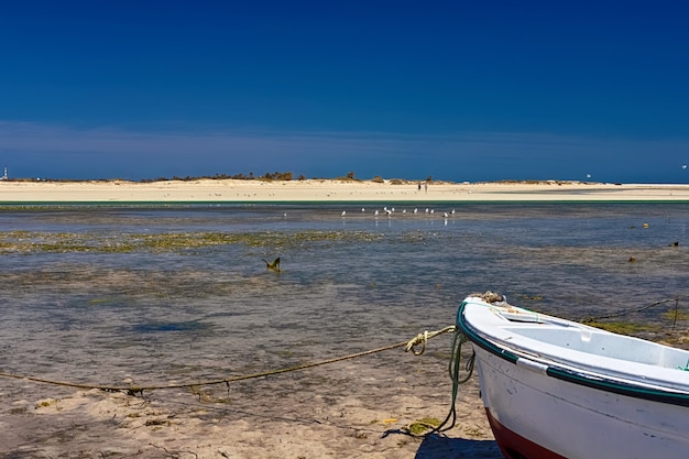 prachtig uitzicht op het strand