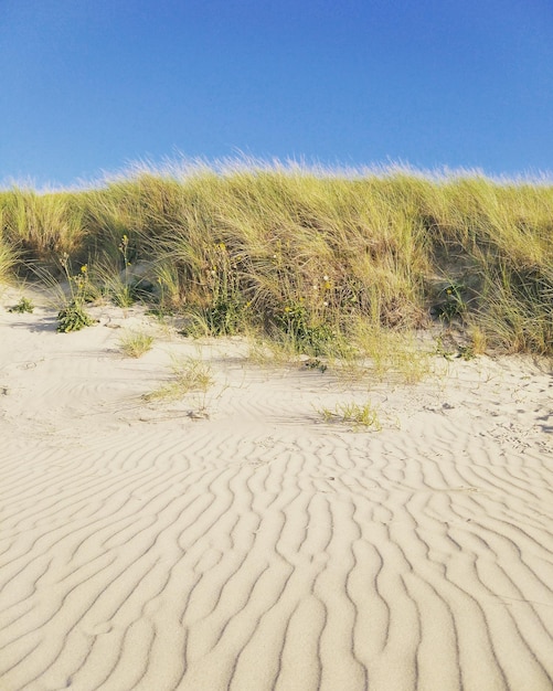 Prachtig uitzicht op het zandstrand