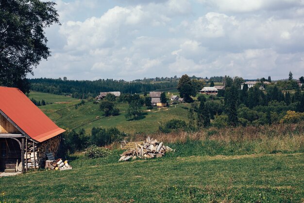 Prachtig uitzicht op houten hut met stapel brandhout en groene bergheuvels met bos en houten huizen in zonnige dag karpaten europa verkennen berglandschap