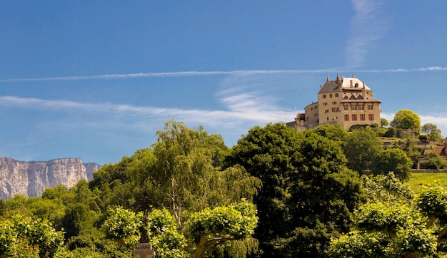 Prachtig uitzicht op kasteel op een zonnige dagMenthonSaintBernardFrance