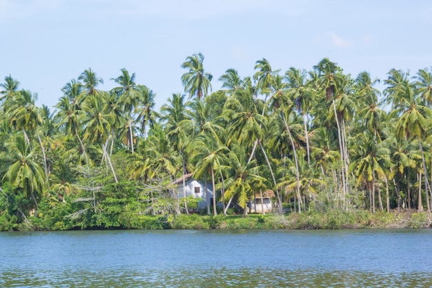 Prachtig uitzicht op Lake Koggala Sri Lanka op een zonnige heldere dag