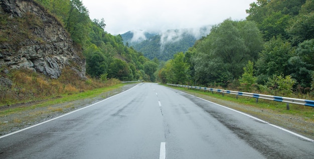 Prachtig uitzicht op landweg