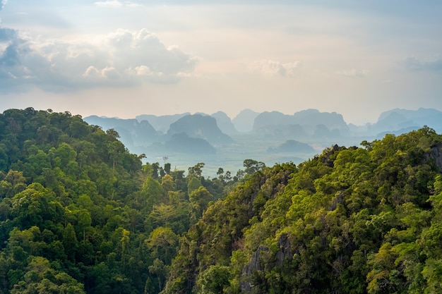 Prachtig uitzicht over de vallei en heuvels met tropische vegetatie. fantastisch thais landschap in de provincie krabi