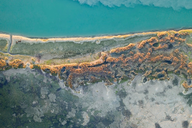 Prachtig uitzicht vanaf een hoogte van 30 meter naar de moeraslagune met verschillende begroeiing