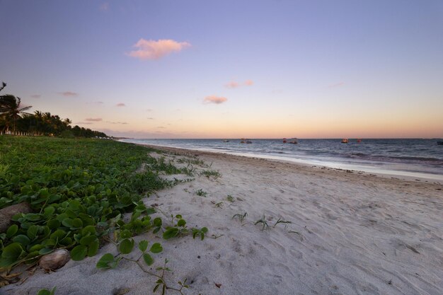 Prachtig verlaten strand bij zonsondergang met vegetatie op de voorgrond en kleine bootjes die varen