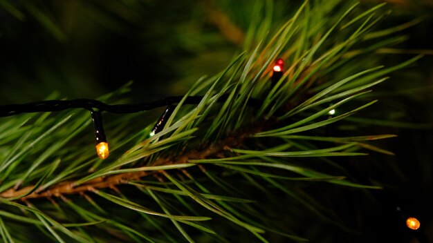 Prachtig versierde kerstboom met bokehlichten op de tak