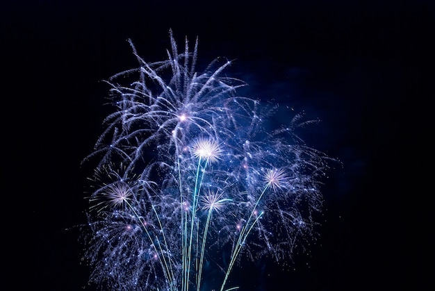 Prachtig vuurwerk op de zwarte lucht