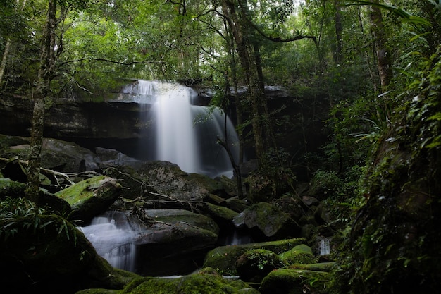 Prachtig watervallandschap. Waterval in bos.