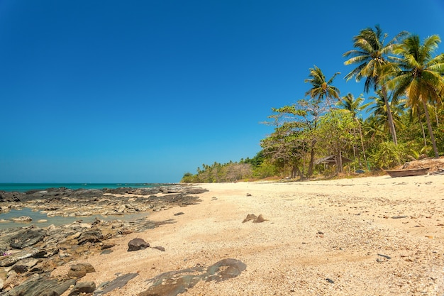 Prachtig wild tropisch zandstrand met een rotsachtige kust en kokospalmen.