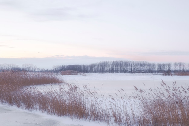 Prachtig winterlandschap bij zonsondergang met mist en sneeuw die landbouwgrond en rivier Nederland bedekken