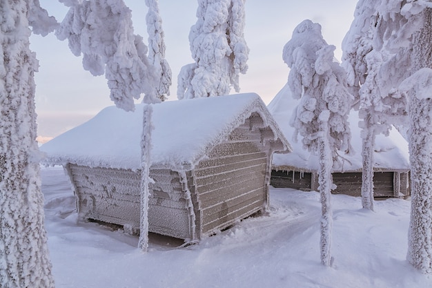 Prachtig winterlandschap. Blokhuis in het de winterbos.