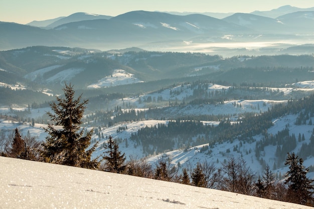 Prachtig winterlandschap met besneeuwde bomen winterbergen