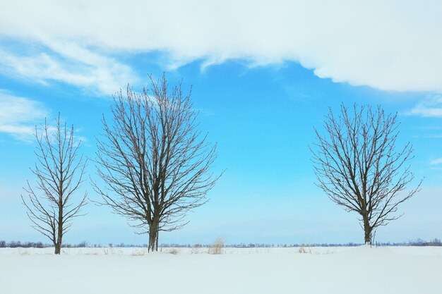 Prachtig winterlandschap met bomen op blauwe hemelachtergrond