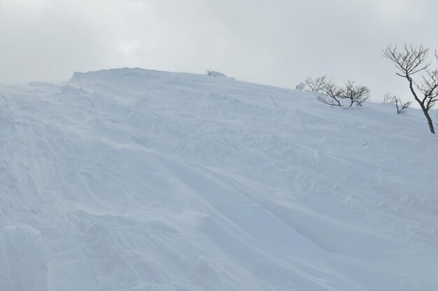 prachtig winterlandschap met ijssneeuw en harde wind