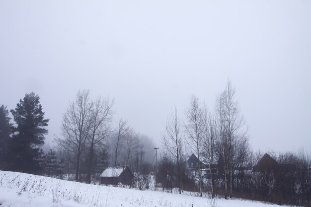 Prachtig winterlandschap met landelijke huisgebouwen en bomen in de sneeuw.