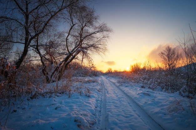 Prachtig winterlandschap met zonsopganghemel, weg en bomen in sneeuw