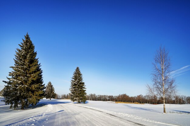 Prachtig winterlandschap op zonnige dag