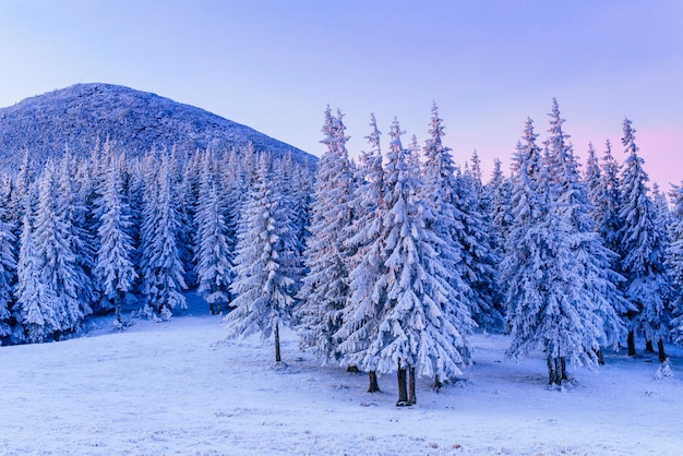 Prachtig winterlandschap