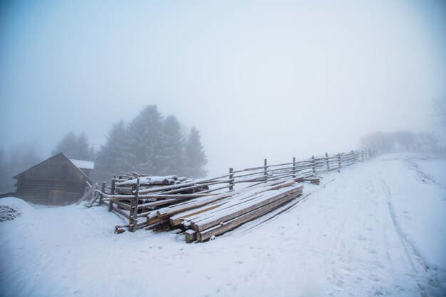 Prachtig winterlandschap