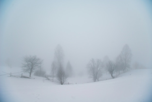 Prachtig winterlandschap