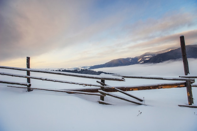 Prachtig winterlandschap