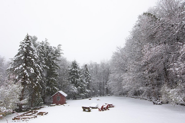 Prachtig winters bostafereel met een houten hut en picknicktafels