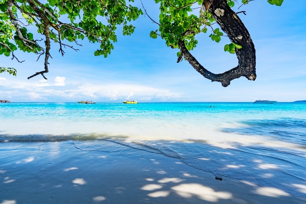 Prachtig zandstrand met golf crashen op zandige kust bij Similan Islands Prachtige tropische zee Similan eiland No.4 op Similan nationaal park, Phang nga Thailand.