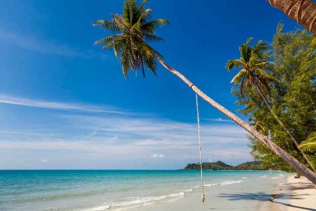 Prachtig zandstrand met kokospalmen tegen de blauwe lucht thailand