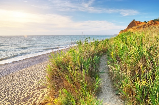 Prachtig zeegezicht strand natuur