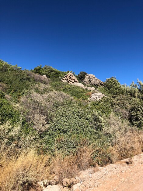 Prachtig zomers landschap van rhodos griekenland