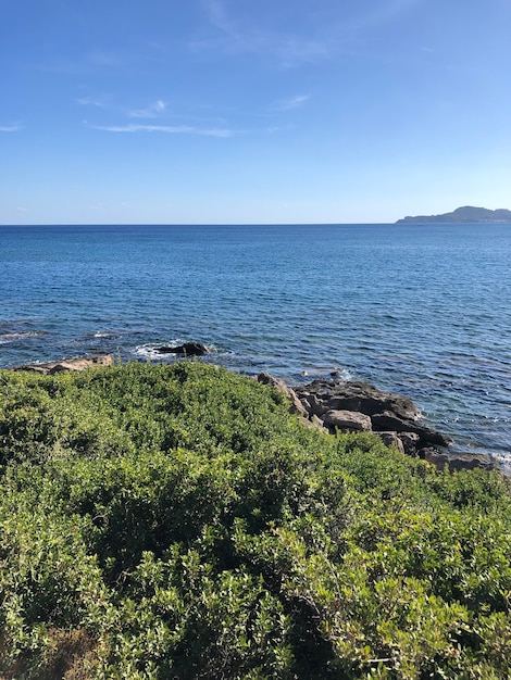 Prachtig zomers landschap van rhodos griekenland