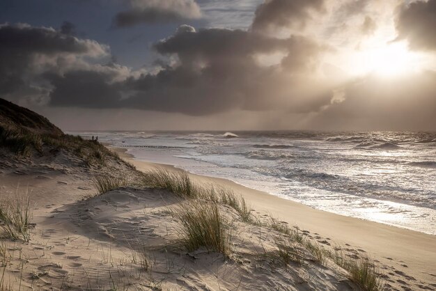 Prachtig zonlicht over de kust van de Noordzee.