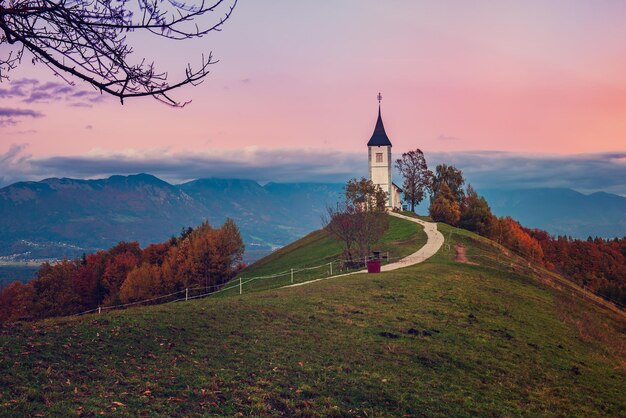 Prachtig zonsonderganglandschap van kerk Jamnik in Slovenië op groene heuvel met de bomen en roze lucht