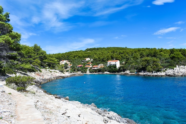 Prachtige Adriatische zee in Kroatië. Blauwe lagune, groene dennen, steenachtige kust. Voetpad langs de zee. Helder landschap, mooi