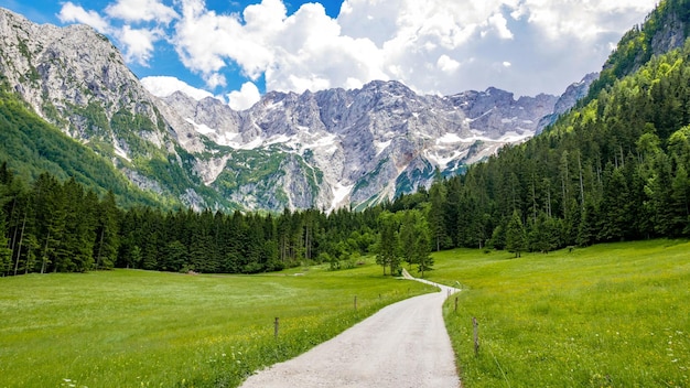 Prachtige alpenvallei, onverharde weg, groene weiden omringd door bergen. Jezersko, Slovenië.