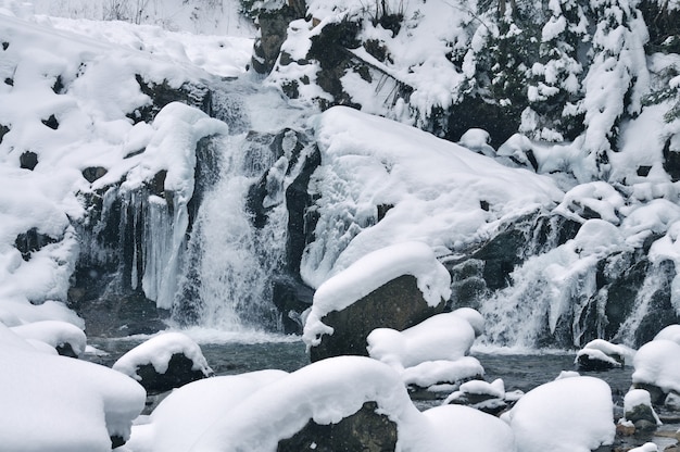 Prachtige besneeuwde waterval stroomt in de bergen