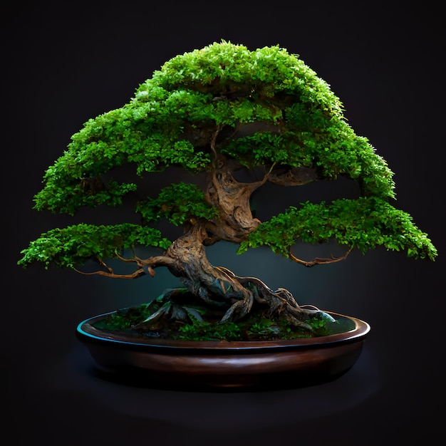Foto prachtige bonsaiboom met groen blad generatieve ai