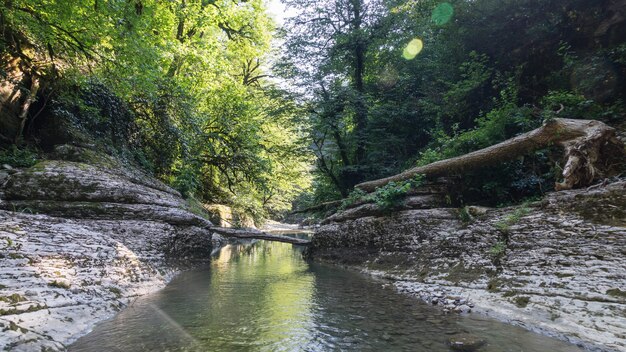 Prachtige bos en berg rivier in Psakho canyon, Krasnodar Krai, Rusland.