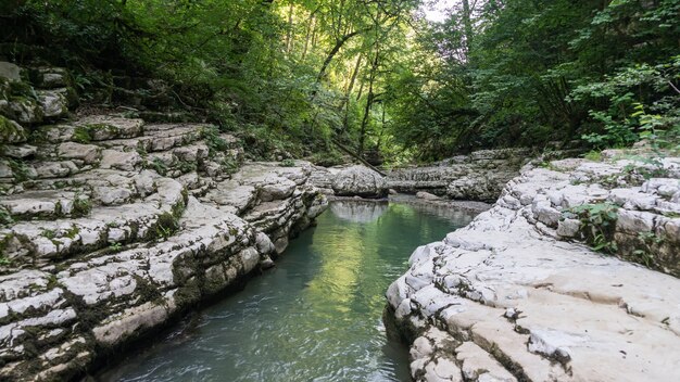 Prachtige bos en berg rivier in Psakho canyon, Krasnodar Krai, Rusland.