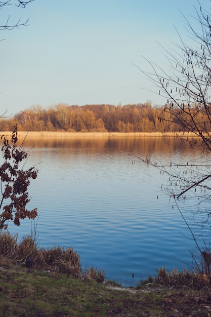 Prachtige bosmeer vroege lente