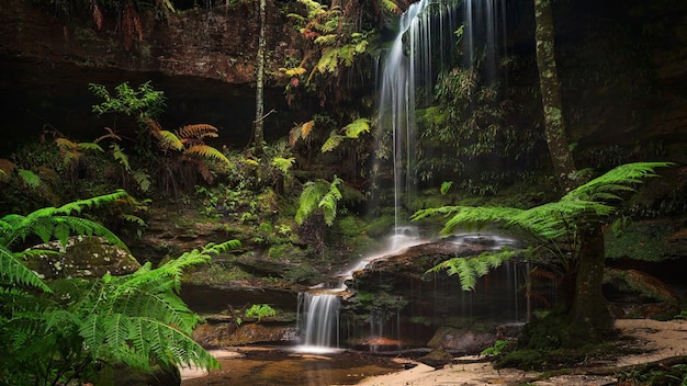 Prachtige boswaterval, planten en stenen.