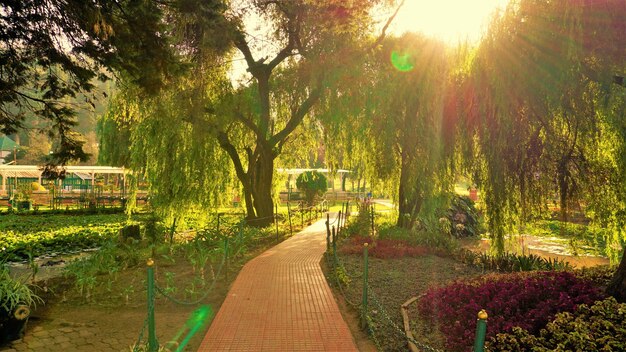 Prachtige botanische tuinen van de overheid in Ooty Tamilnadu, India Bezet schilderachtige plek voor familietijd