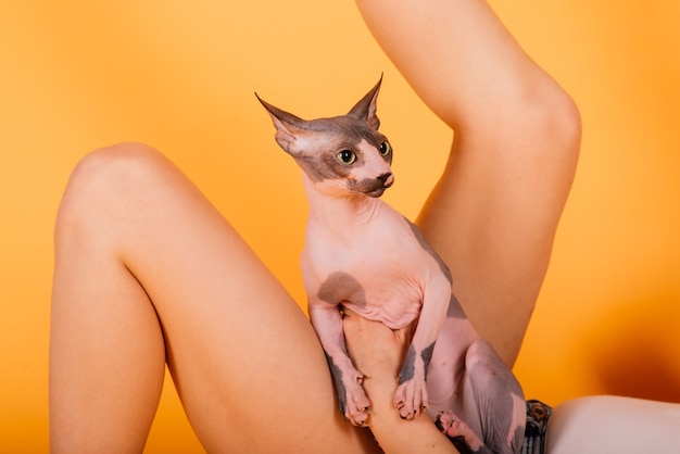 Prachtige brunette vrouw die lacht, met Sphynx kitten, poseren op grijze en gele studio achtergrond.